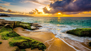 【公务员】行测申论真题合集最全【新增21年】-昭通考试在线