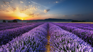 【公务员】全新《学霸笔记》行测+申论+面试8本-昭通考试在线